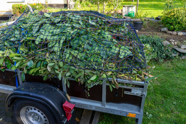 Best Dumpster Rental Services  in Salina, UT